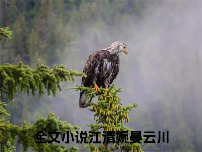 江清婉晏云川（江清婉晏云川）全文免费阅读无弹窗大结局_（江清婉晏云川）江清婉晏云川最新章节列表_笔趣阁（江清婉晏云川）