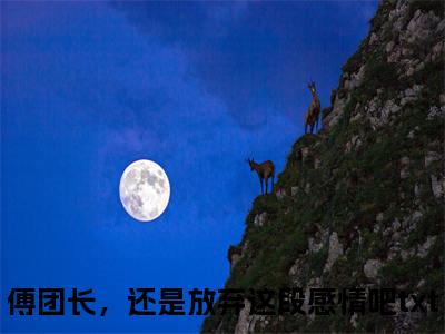 （傅团长，还是放弃这段感情吧）全文免费阅读无弹窗大结局_叶绾颜傅明霁免费小说最新章节列表笔趣阁（傅团长，还是放弃这段感情吧）