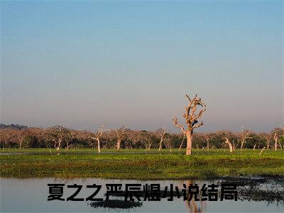 夏之之严辰煜夏之星辰最新章节免费阅读 夏之星辰小说最新章节