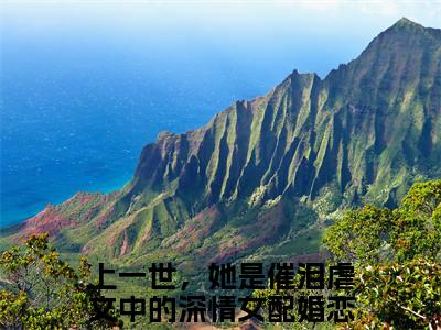 小说（闻清俨顾洛眠）上一世，她是催泪虐文中的深情女配全文免费阅读无弹窗-上一世，她是催泪虐文中的深情女配小说全文在线赏析(今日更新最新章节)