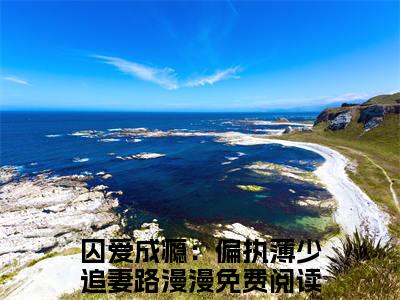 囚爱成瘾：偏执薄少追妻路漫漫小说在线阅读-薄晏寒洛孀小说最新章节阅读