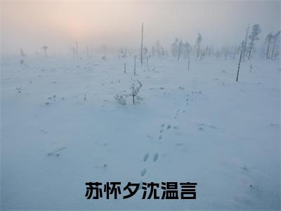 苏怀夕沈温言全文免费阅读无弹窗大结局_(苏怀夕沈温言免费阅读)苏怀夕沈温言无弹窗最新章节列表_笔趣阁