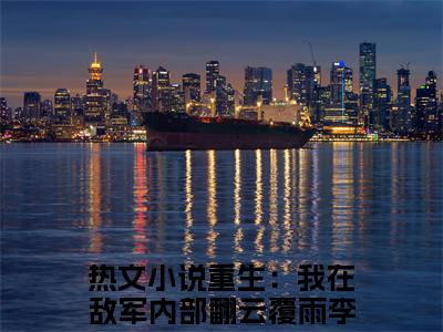 重生：我在敌军内部翻云覆雨李伟完整版最新小说大结局-重生：我在敌军内部翻云覆雨李伟无删版阅读