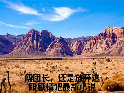 精选热门小说叶绾颜傅明霁（傅团长，还是放弃这段感情吧）-（傅团长，还是放弃这段感情吧）叶绾颜傅明霁免费阅读