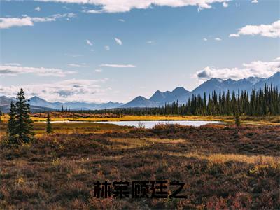 林棠顾廷之正版小说全文阅读-小说推荐林棠顾廷之精彩章节全文阅读