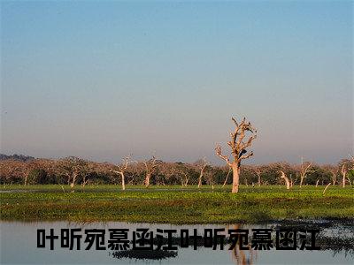 叶昕宛慕函江(叶昕宛慕函江)全文免费阅读_叶昕宛慕函江(叶昕宛慕函江)免费在线阅读_笔趣阁(叶昕宛慕函江)