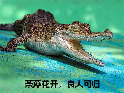 荼蘼花开，良人可归（裴允夏景占南）全文免费阅读无弹窗大结局_裴允夏景占南小说最新章节列表_笔趣阁(荼蘼花开，良人可归）