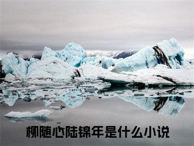 柳随心陆锦年小说（柳随心陆锦年）全文免费阅读无弹窗大结局_柳随心陆锦年小说免费阅读_笔趣阁（柳随心陆锦年小说）