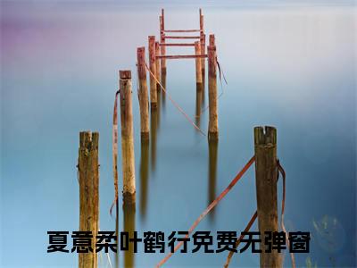 夏意柔叶鹤行（夏意柔叶鹤行）全文免费在线阅读_夏意柔叶鹤行全文免费阅读无弹窗大结局
