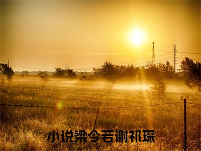 梁今若谢祁琛2023热门榜单首发小说阅读无弹窗 梁今若谢祁琛言情小说最新章节