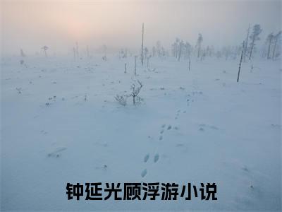 钟延光顾浮游小说全文免费阅读，钟延光顾浮游最新章节