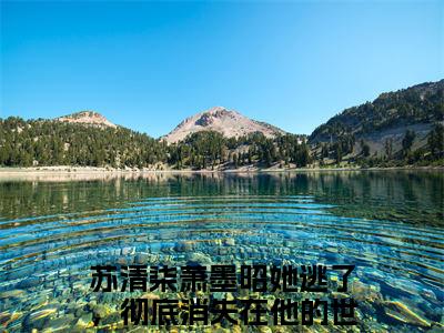 苏清柒萧墨昭正版小说最新章节在线阅读-她逃了，彻底消失在他的世界（苏清柒萧墨昭）全文无弹窗阅读