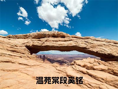 温苑棠段奚铭（温苑棠段奚铭）小说全文免费阅读大结局-温苑棠段奚铭全章节抖音小说
