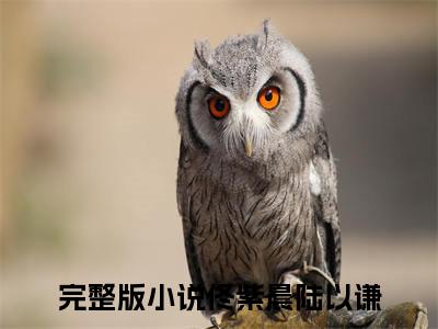 爆款小说（佟紫晨陆以谦）主角佟紫晨陆以谦全文在线完本阅读