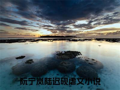 阮宁岚陆迟砚无弹窗热文（阮宁岚陆迟砚）在线阅读-阮宁岚陆迟砚小说在哪里可以看