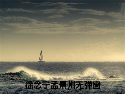 徐念宁孟景州满分热推小说 -徐念宁孟景州小说全本已完结