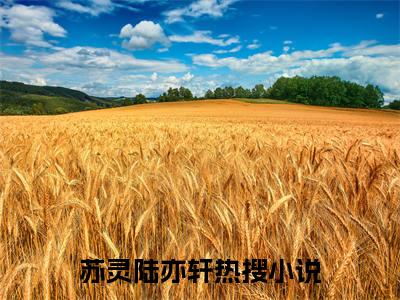 苏灵陆亦轩全文免费阅读无弹窗大结局_(苏灵陆亦轩)免费阅读全文无弹窗_