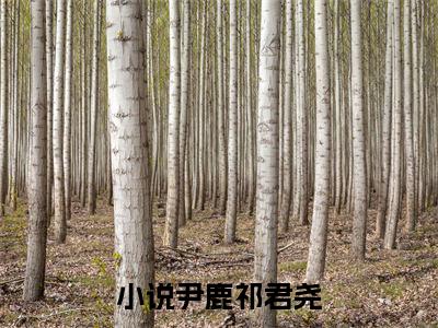 尹鹿祁君尧（尹鹿祁君尧）小说全文完结版免费阅读