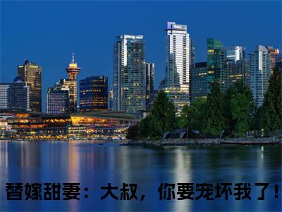 苏允诺君少卿(替嫁甜妻：大叔，你要宠坏我了！)全文免费阅读无弹窗大结局_(苏允诺君少卿免费阅读)替嫁甜妻：大叔，你要宠坏我了！无弹窗最新章节列表
