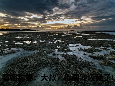 替嫁甜妻：大叔，你要宠坏我了！（苏允诺君少卿）小说全文-苏允诺君少卿小说免费阅读大结局
