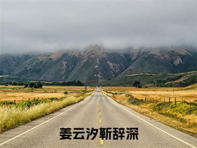 姜云汐靳辞深（姜云汐靳辞深）小说全文无广告阅读-姜云汐靳辞深小说赏析