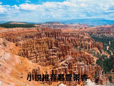 末世囤货，我搬空了百亿仓库在线阅读（慕萱秦睿）全文免费阅读大结局_末世囤货，我搬空了百亿仓库免费最新章节列表_笔趣阁