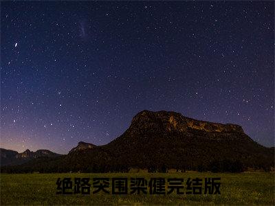 主人公叫绝路突围梁健的小说哪里免费看绝路突围梁健