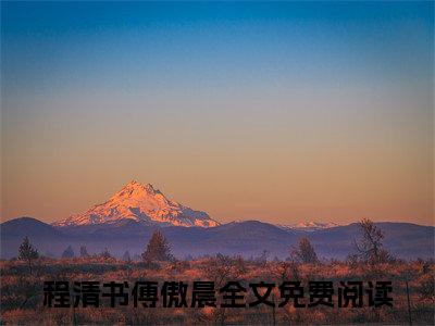 程清书傅傲晨多人追免费无弹窗小说,程清书傅傲晨已完结全集大结局