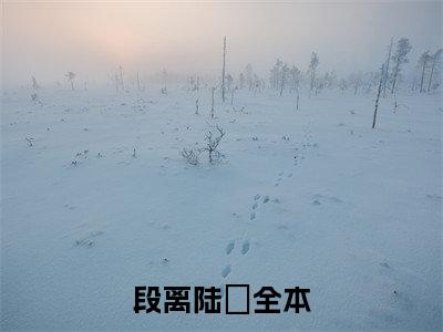段离陆玦（段离陆玦）小说大结局-小说（段离陆玦）免费阅读段离陆玦