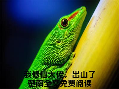 我修仙大佬，出山了楚南（我修仙大佬，出山了楚南）全文免费阅读无弹窗_我修仙大佬，出山了楚南最新小说_笔趣阁（我修仙大佬，出山了楚南）