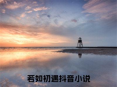 主角是若如初遇的小说-沈芷曦宋勉全章节在线阅读