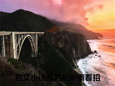 沈宜裴知贺（渣男前夫请看招）免费阅读无弹窗-小说沈宜裴知贺大结局全文免费阅读