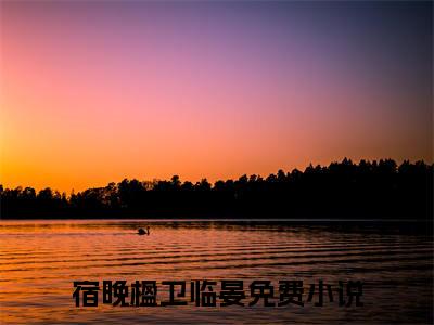 宿晚楹卫临晏免费从此以后，她的世界里，再也没有卫临晏读无弹窗最新章节列表_笔趣阁（宿晚楹卫临晏）