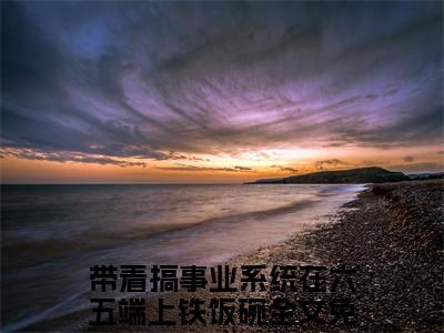 带着搞事业系统在六五端上铁饭碗（姜媛沈宇）最新免费阅读-带着搞事业系统在六五端上铁饭碗小说在线阅读