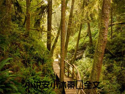 安小沐秦珦(安小沐秦珦后续)全文免费阅读无弹窗大结局_(安小沐秦珦后续免费阅读全文大结局)最新章节列表_笔趣阁（安小沐秦珦）