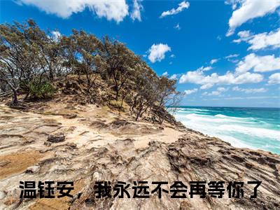 温钰安，我永远不会再等你了全文免费阅读无弹窗-（简泠音温钰安）温钰安，我永远不会再等你了最新章节列表在线阅读