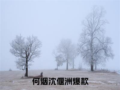 何烟沈偃洲小说（以她为饵）全文在线阅读无弹窗大结局_（何烟沈偃洲在线阅读无弹窗）最新章节列表_笔趣阁（以她为饵）