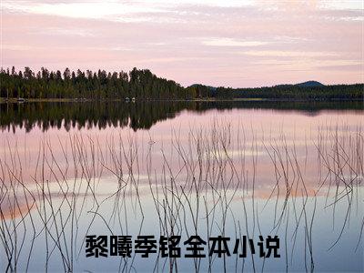 季铭黎曦（黎曦季铭）全文免费阅读无弹窗大结局_（黎曦季铭）最新章节