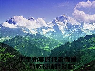 时宁靳宴时（独家偏爱：靳教授请轻轻吻）小说最后结局-（独家偏爱：靳教授请轻轻吻）完结版免费阅读
