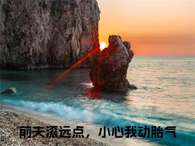苏堇顾知珩（前夫滚远点，小心我动胎气）全文免费阅读-小说前夫滚远点，小心我动胎气最新章节阅读笔趣阁