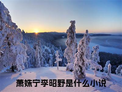 萧姝宁李昭野精选热门小说 萧姝宁李昭野已完结全集大结局