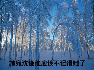 他应该不记得她了全文免费在线阅读_林宛沈谦全文免费阅读无弹窗大结局