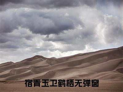 宿青玉卫鹤栖全文（宿青玉卫鹤栖）完整版小说阅读_宿青玉卫鹤栖全本列表免费笔趣阁（宿青玉卫鹤栖）