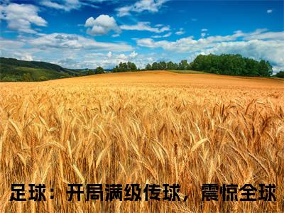小说足球：开局满级传球，震惊全球无弹窗免费阅读-新上热文小说（史蒂文苏白）讲的是什么