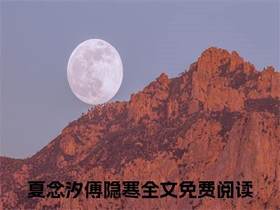 夏念汐傅隐寒全文免费在线阅读_（夏念汐傅隐寒全文免费阅读无弹窗大结局）
