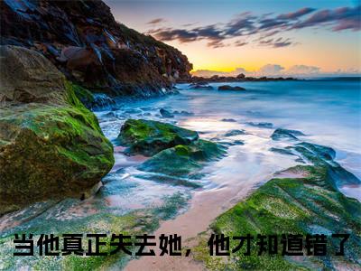 当他真正失去她，他才知道错了小说在线阅读全文免费阅读无弹窗大结局_衡君言景汐小说免费最新章节列表_笔趣阁