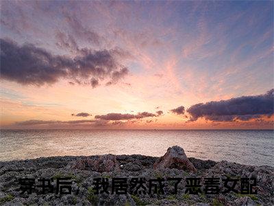沈若惜秦斯爵是什么小说，沈若惜秦斯爵（穿书后，我居然成了恶毒女配）完整章节在线阅读