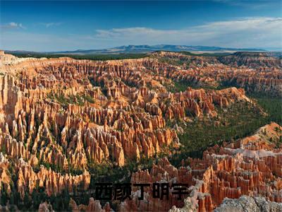 西颜丁明宇（西颜丁明宇）高收藏小说在线阅读-西颜丁明宇阅读结局