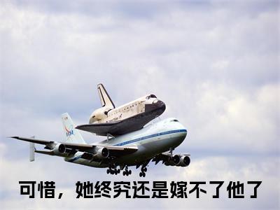 可惜，她终究还是嫁不了他了小说（岄乔苍澜彻）全文免费阅读无弹窗大结局_岄乔苍澜彻小说最新章节_笔趣阁（可惜，她终究还是嫁不了他了）