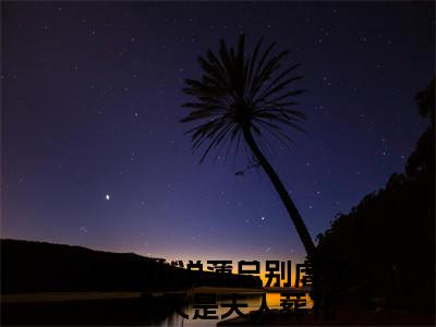 薄严城温晚栀(薄总别虐了，今天是夫人葬礼)全文免费阅读_薄严城温晚栀（薄总别虐了，今天是夫人葬礼在线小说免费阅读）